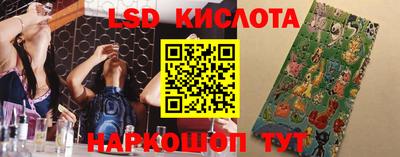 Альфа ПВП Малгобек