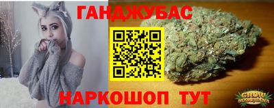 Альфа ПВП Малгобек