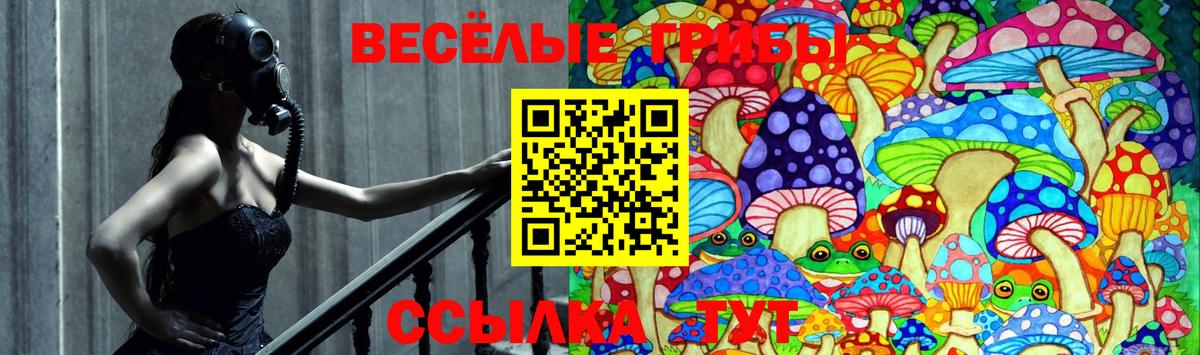 Псилоцибиновые грибы прущие грибы  Вход с VPN  где найти наркотики  Псилоцибиновые грибы Psilocybine cubensis  Чистополь 